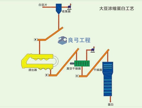 蛋白技術(shù)